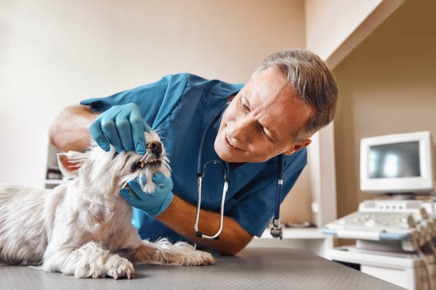 Best Emergency Root Canal Treatment in Fulton, KY